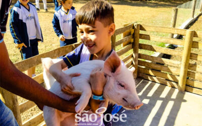 Construir memórias é a nossa especialidade!